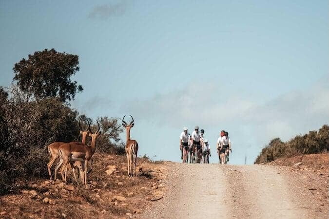 ALL-IN PACK NEDBANK GRAVEL BURN 2026 The most complete Gravel Burn experience with MASQUEBICI